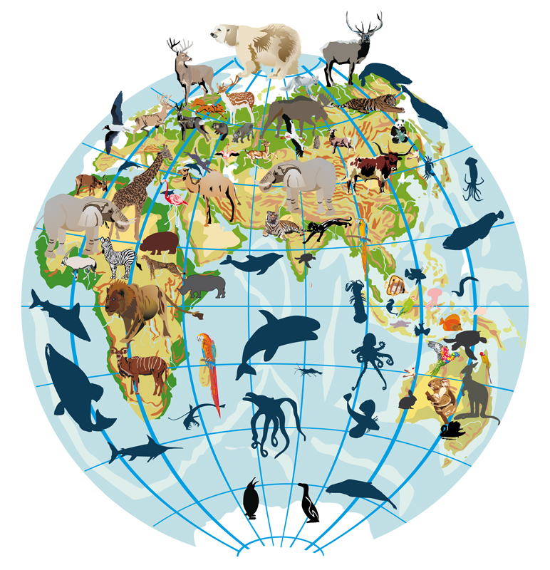Frontiers in Ecology and Evolution blog, 2015