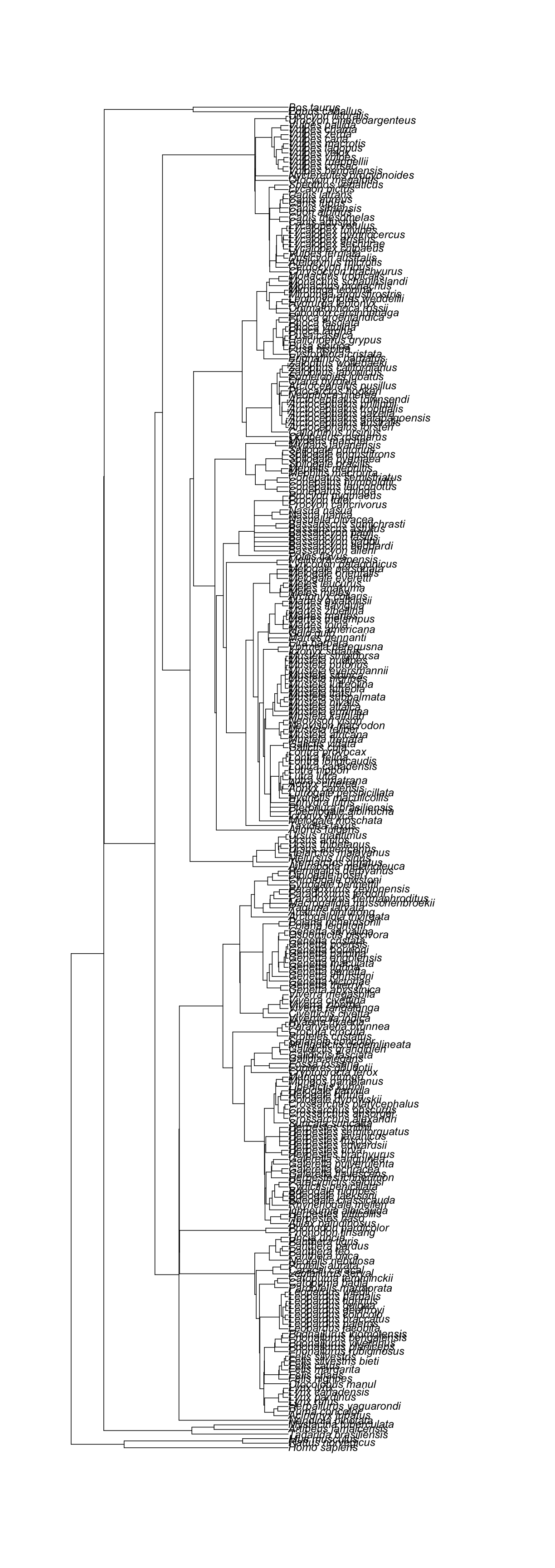 plot of chunk canis-support-trees